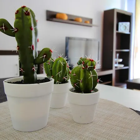 Expoholidays - Eucalipto Apartment